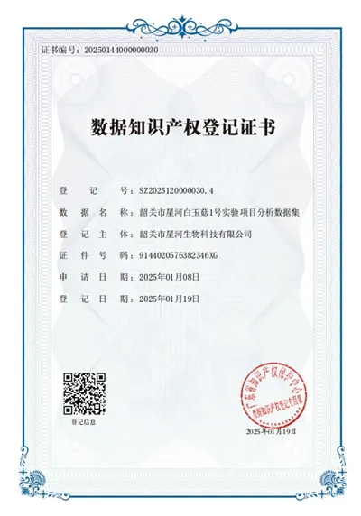 640 (11).webp